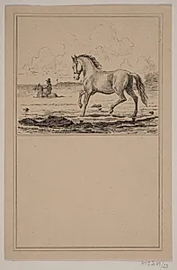 Hesten i vandet. Nr. 22 i Chr. Winther og M. Rørbye, "25 Billeder for små børn" by Adolph Kittendorff