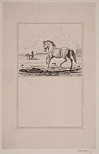 Hesten i vandet. Prøvetryk til Chr. Winther og M. Rørbye, "25 Billeder for små børn" by Adolph Kittendorff