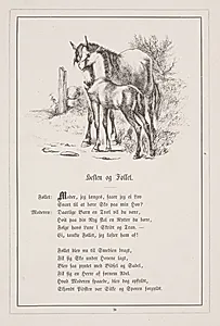 Hesten og Føllet. Illustration til H.V. Kaalund, "Fabler for Børn" by H.P. Hansen