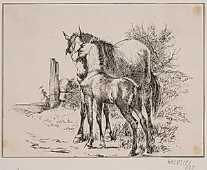 Hesten og føllet by Adolph Kittendorff