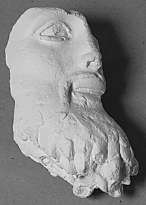 Højre ansigtshalvdel. Efter originalen til tyranmorderen Aristogeiton by Ubekendt