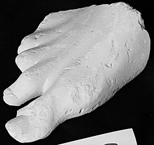 Højre fod, fragment. Fra mandsstatue by Ubekendt