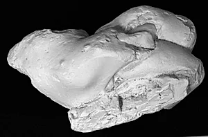 Højre hånd, fragment. Efter originalen til tyranmorderen Aristogeiton by Ubekendt