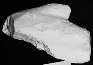 Højre hånd med ansats til tommelfinger, fragment by Ubekendt
