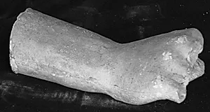 Højre hånd og underarm? Fra Afrodite fra Melos (Venus fra Milo) by Ubekendt