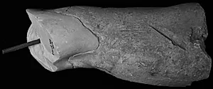 Højre overarm. Efter originalen til tyranmorderen Aristogeiton by Ubekendt