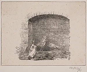 Hønsene og ænderne by Adolph Kittendorff