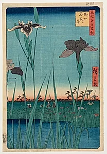 Horikiri irishave. Nr. 65 (Horikiri no hanashōbu) by Utagawa Hiroshige I