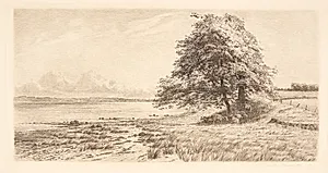 Horne bugt