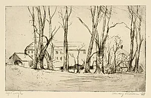 Hospitalslignende bygning set mellem store træer by Henry Nielsen
