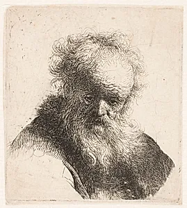 Hoved af en gammel mand by Rembrandt van Rijn