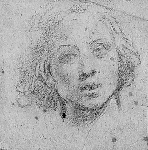 Hoved af en ung mand by Baldassare Franceschini