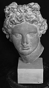 Hoved fra statuen Apollo Belvedere by Ubekendt
