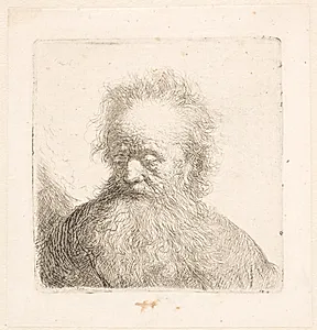 Hoved og skulder af gammel, skægget mand by Rembrandt van Rijn
