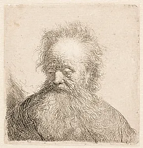 Hoved og skulder af gammel, skægget mand by Rembrandt van Rijn