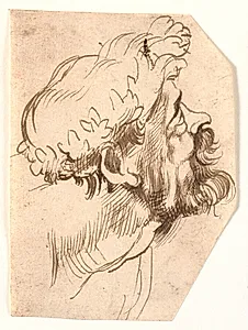 Hovedet af en mand by Anthony van Dyck