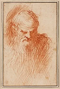 Hovedet af en skægget mand by Jacopo Palma (il Giovane)
