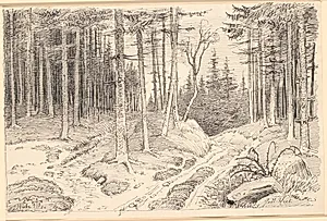 Hulvej gennem en granskov by Johan Thomas Lundbye