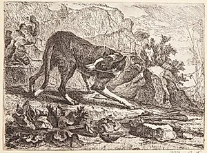 Hund, der leger by Joannes Fijt