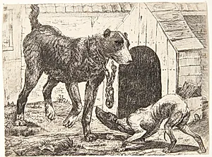 Hund i lænke by Paulus van Hillegaert (II)