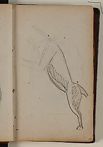Hund stående på bagbenene by Niels Larsen Stevns