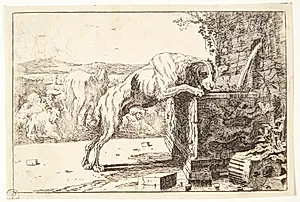 Hund ved en fontæne