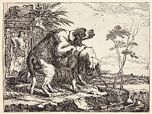 Hunde, der parrer sig by Joannes Fijt