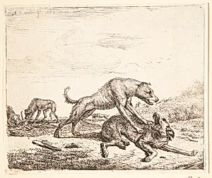 Hunde i slagsmål by Adriaen van de Velde