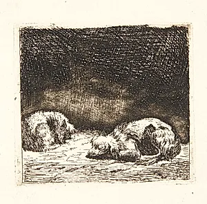 Hunden og katten by Karel Du Jardin