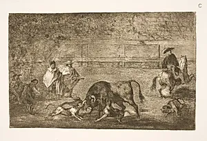 Hundene pudses på tyren by Francisco de Goya