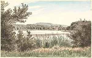 Hundesøen paa Møen. by P.C. Skovgaard