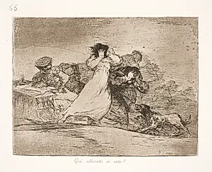 Hvad betyder denne forvirring? (65) by Francisco de Goya
