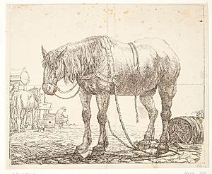 Hvilende arbejdshest by Simon de Vlieger