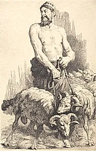 Hyrden med vædderne
