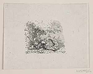 Illustration til "De sidste timer", digt af H. J. Greensteen by Ubekendt