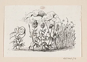 Illustration til "Den lille Idas Blomster" i H.C. Andersen, "Eventyr og Historier", Bind 1 by H.P. Hansen