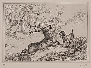 Illustration til digtet "Hjorten" af Gotfred Rode by Ubekendt
