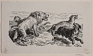 Illustration til "Fablen om løvens jagt"