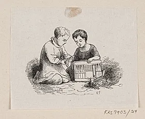 Illustration til "Gaaseurten" i H.C. Andersen, "Eventyr og Historier", Bind 1 by H.P. Hansen