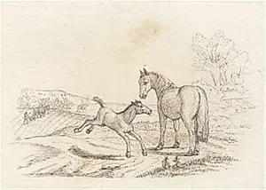 Illustration til "Halvhundrede Fabler for Børn" af Hey by Martinus Rørbye