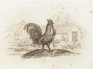 Illustration til "Halvhundrede Fabler for Børn" af Hey by Martinus Rørbye
