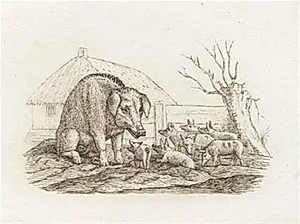 Illustration til "Halvhundrede Fabler for Børn" af Hey by Martinus Rørbye