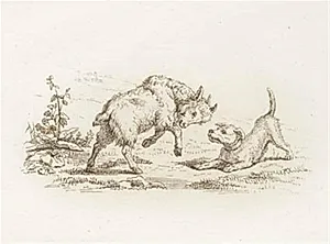 Illustration til "Halvhundrede Fabler for Børn" af Hey by Martinus Rørbye