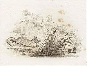 Illustration til "Halvhundrede Fabler for Børn" af Hey by Martinus Rørbye