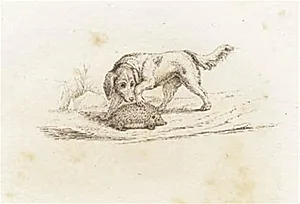 Illustration til "Halvhundrede Fabler for Børn" af Hey by Martinus Rørbye