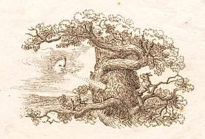 Illustration til "Halvhundrede Fabler for Børn" af Hey by Martinus Rørbye