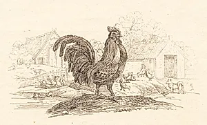Illustration til "Halvhundrede Fabler for Børn" af Hey by Martinus Rørbye