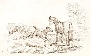 Illustration til "Halvhundrede Fabler for Børn" af Hey by Martinus Rørbye