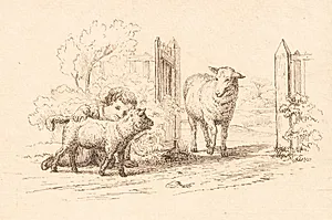 Illustration til "Halvhundrede Fabler for Børn" af Hey by Martinus Rørbye