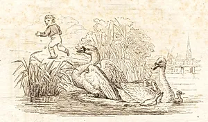 Illustration til "Halvhundrede Fabler for Børn" af Hey by Martinus Rørbye